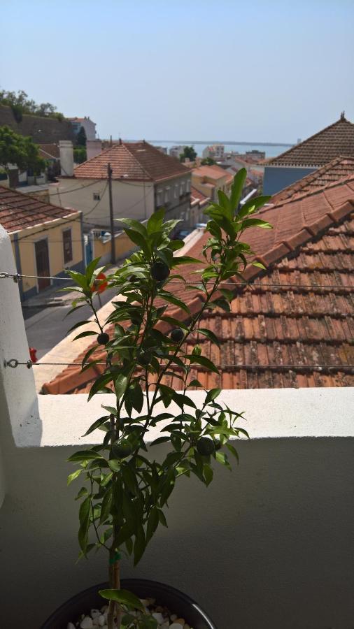 Casa Do Viso Villa Setubal Bagian luar foto